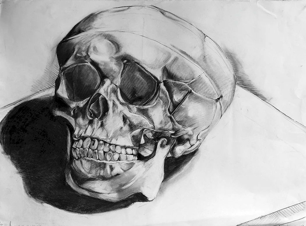 Череп малюнок