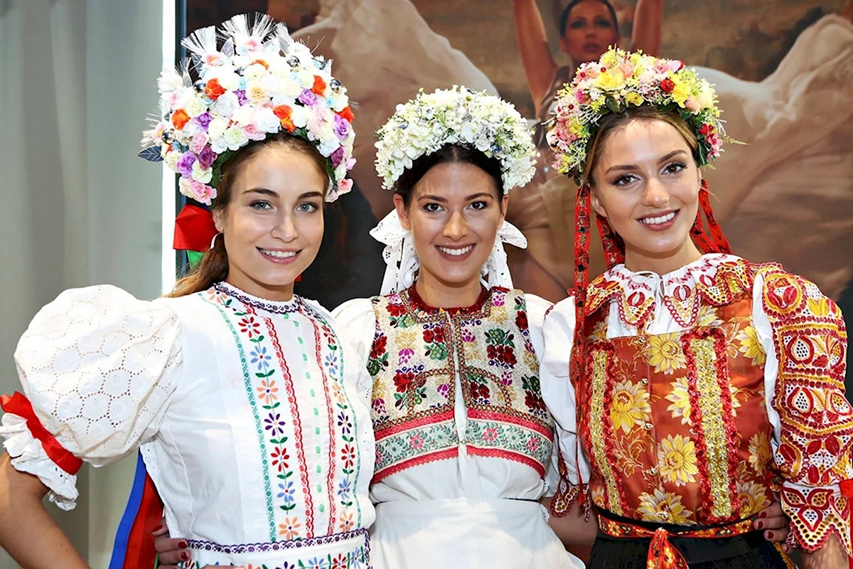 Поляки чехи словаки