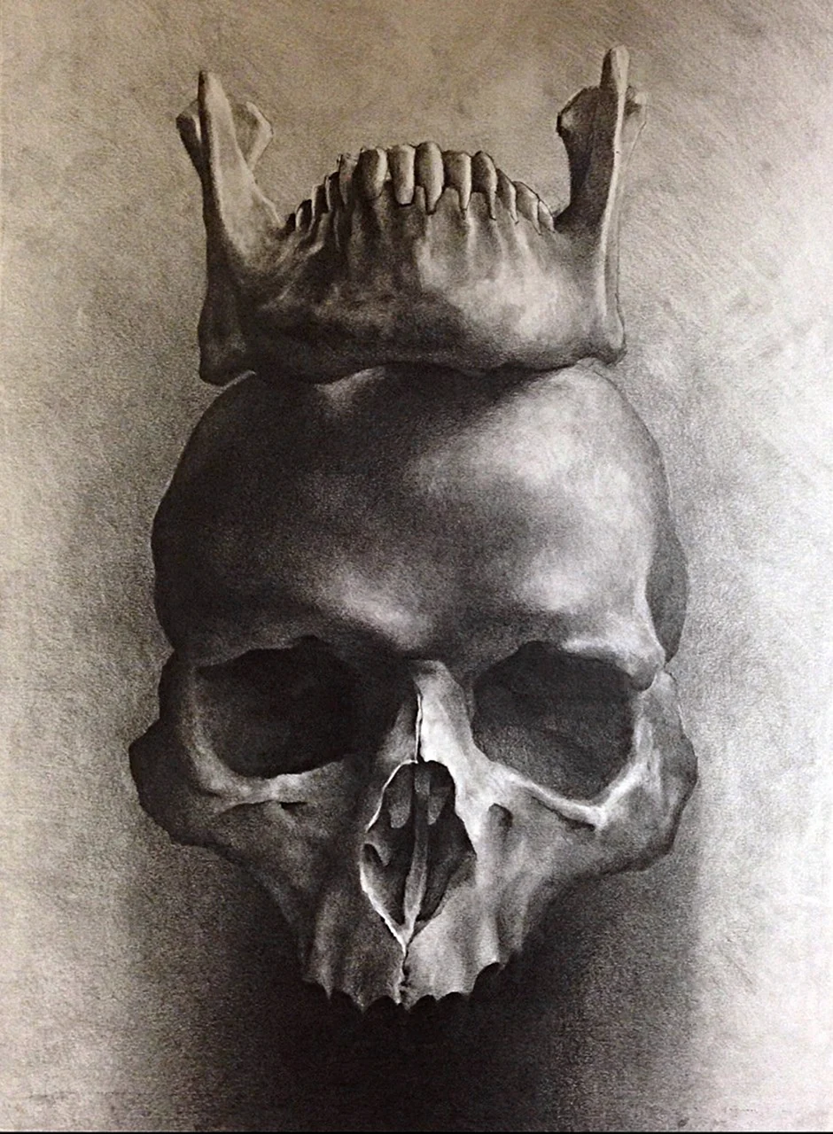 Щелепа черепа ескіз