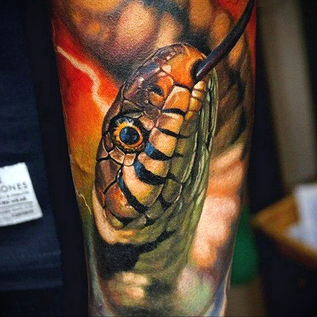 Тату змея цветная