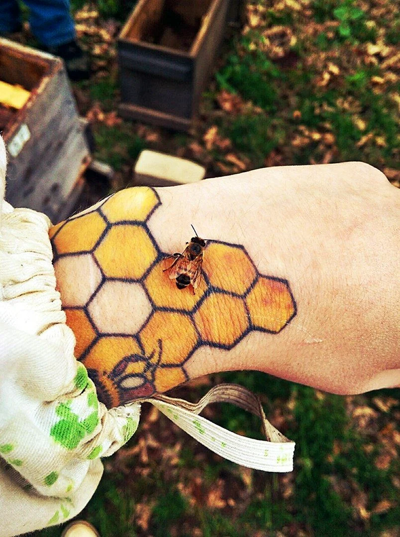 Тату соты цветные