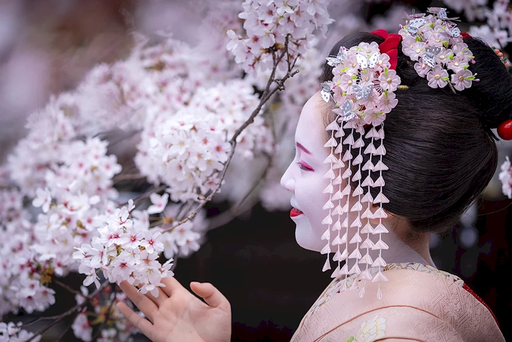 Кандзасі Сакура