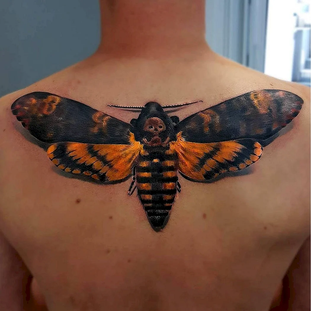 Бабочка Бражник мертвая голова