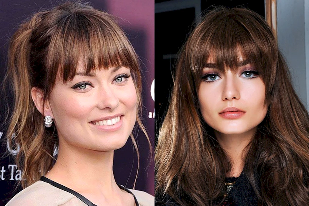 Фільована чубчик