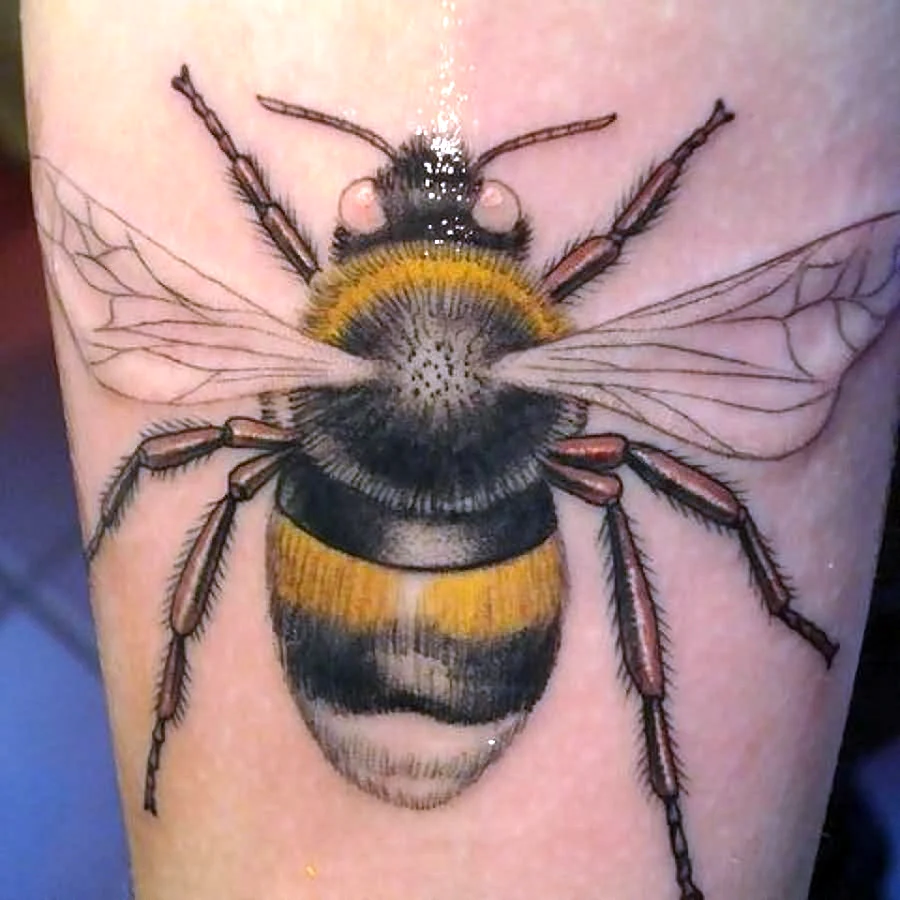 Тату пчела