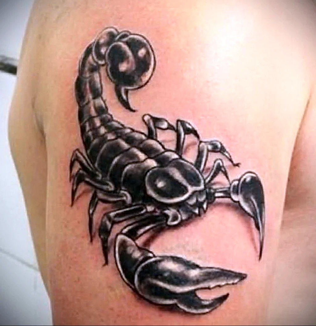 Тату скорпионс