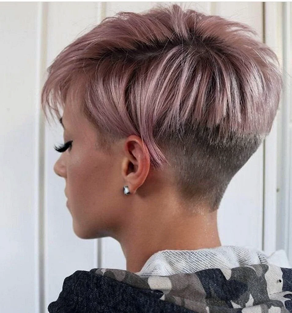 Піксі Боб з поголеною потилицею