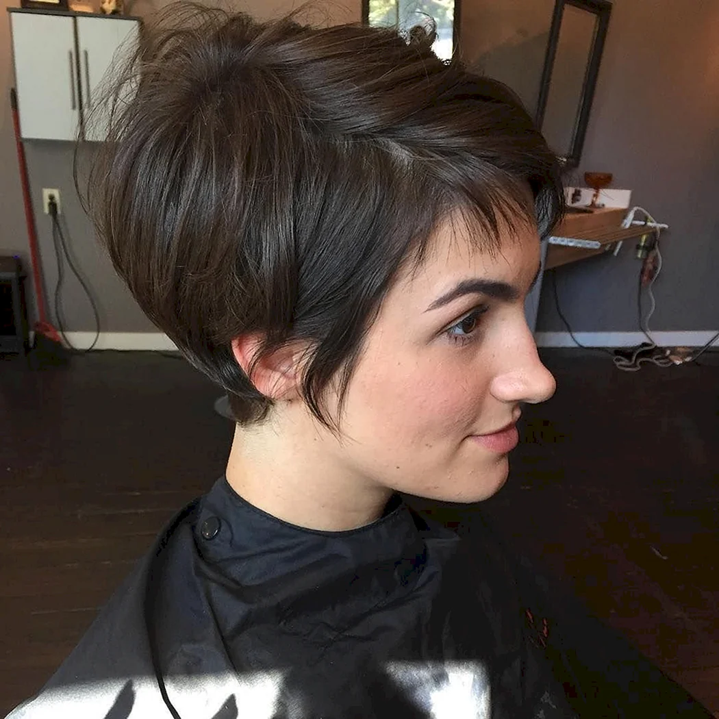 Піксі Боб брюнет