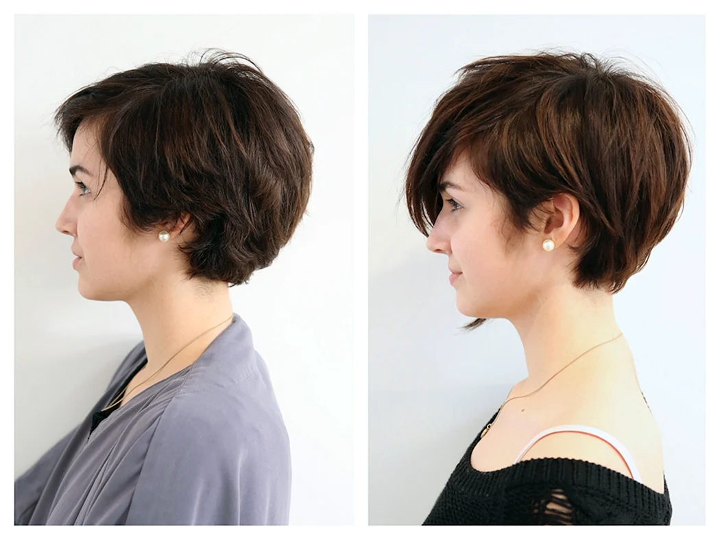 Стрижка Піксі Боб із закритими вухами