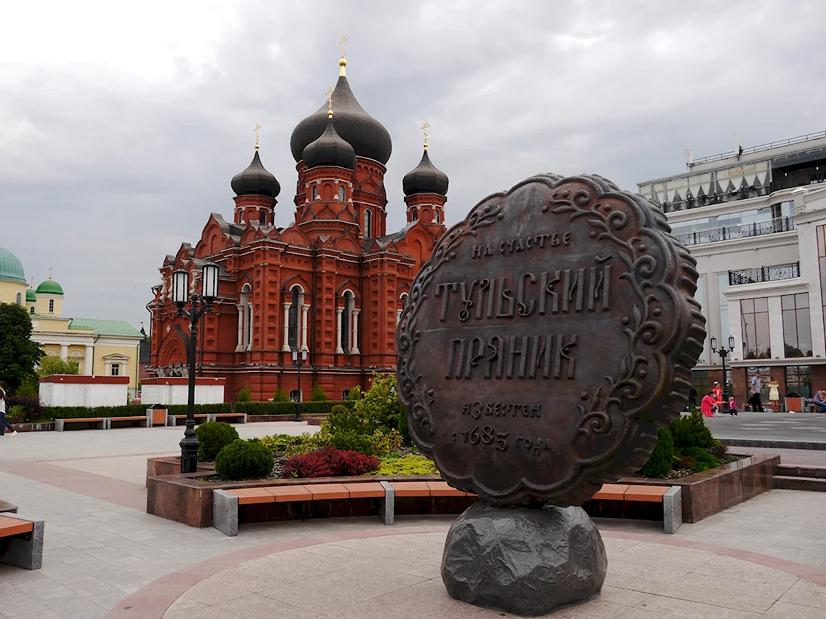 Тула город