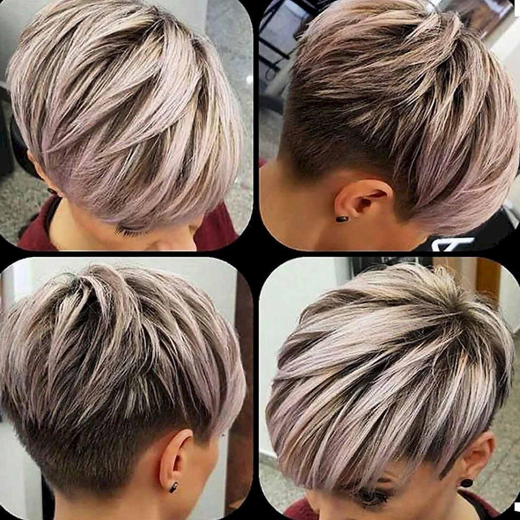 Піксі Боб ззаду