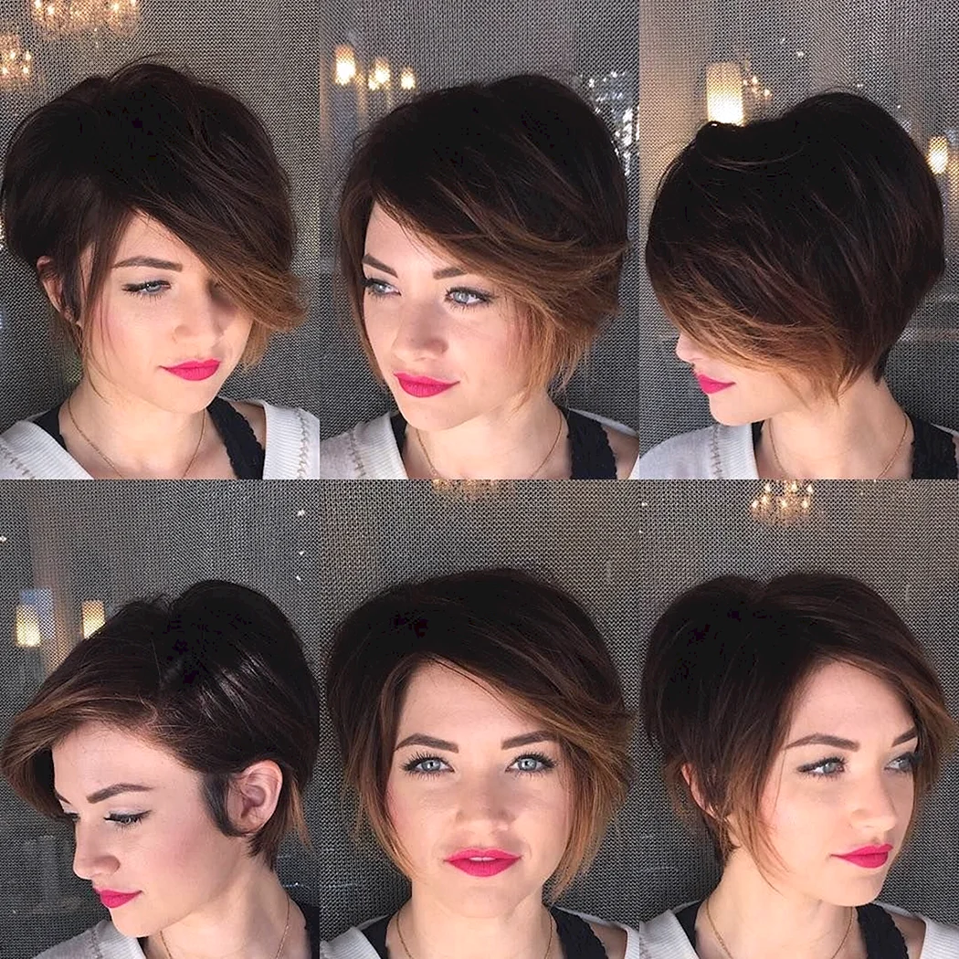 Відрослий Піксі Боб стрижка