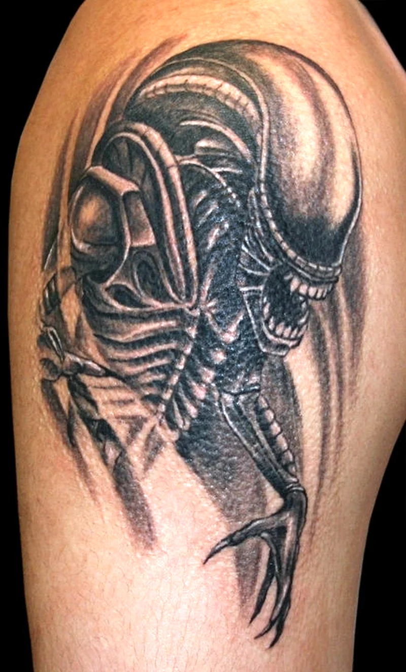 Тату чужого