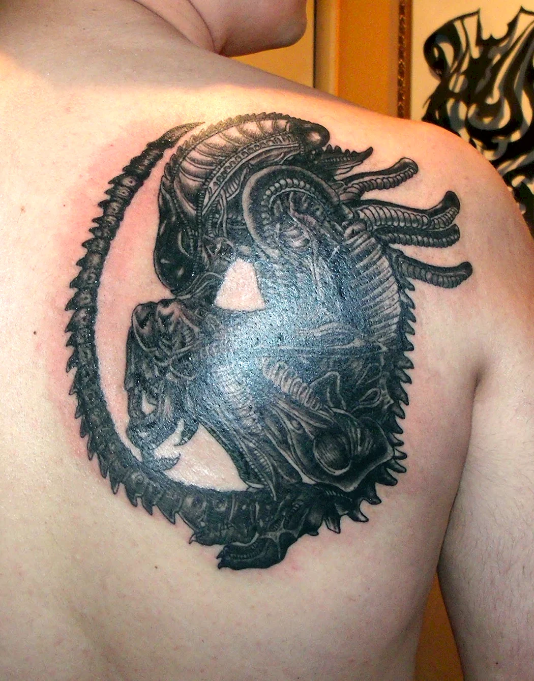 Тату чужого на спине