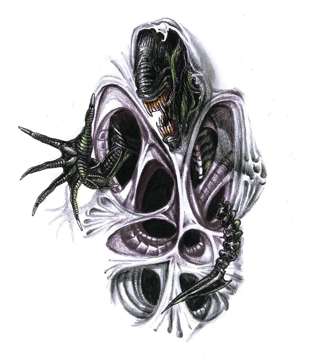 Паук биомеханика