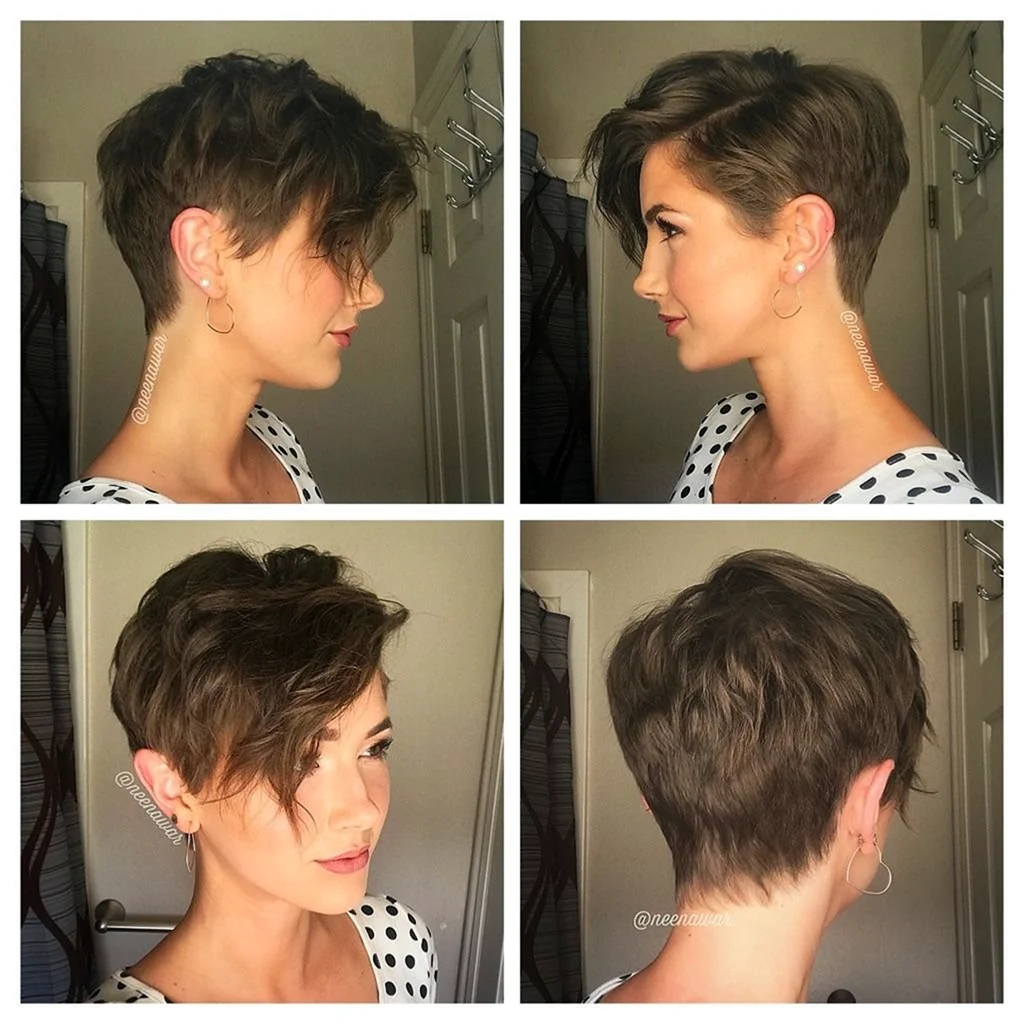 Відрослий Піксі Боб