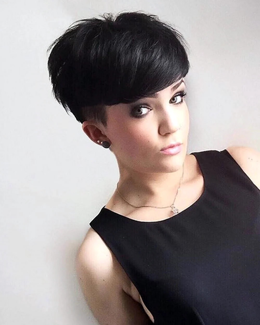 Pixie Bob
