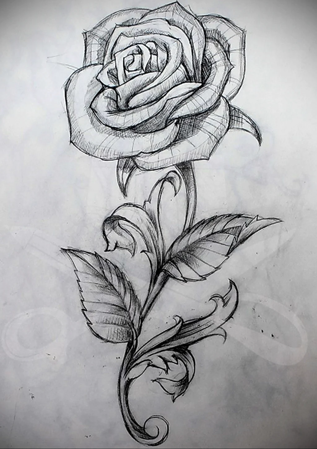 Роза карандашом