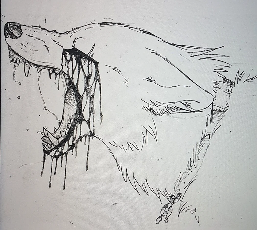 Волк набросок