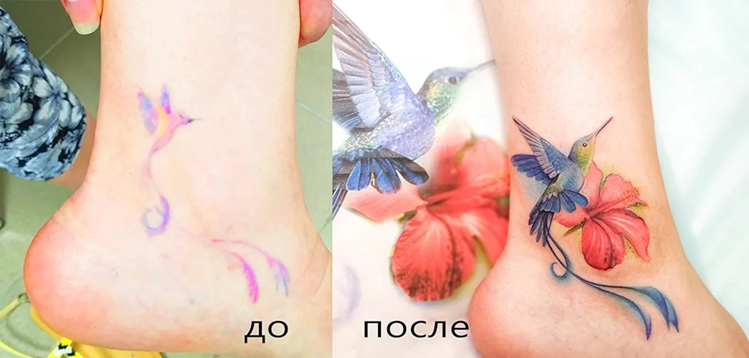 Заживление Татуировки советы