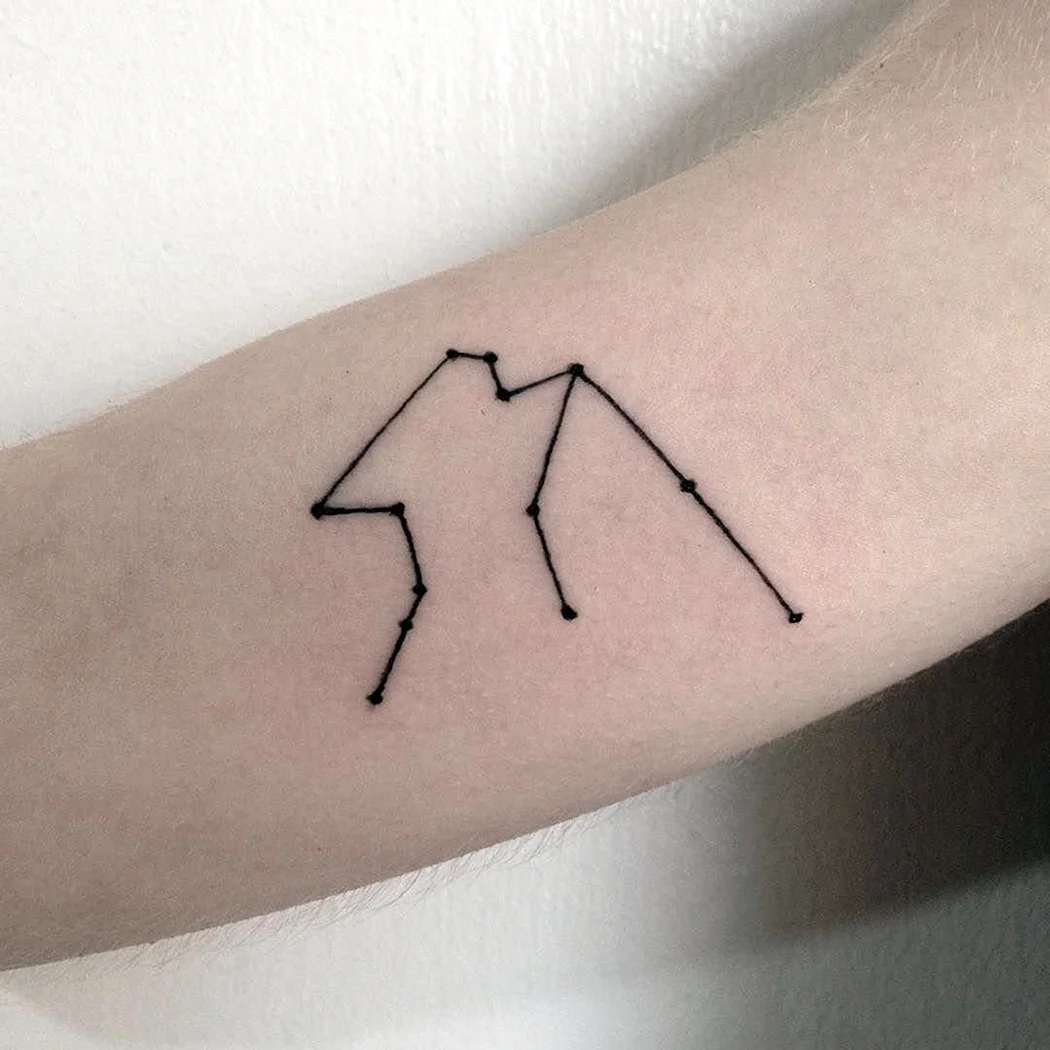 Знак Водолея Созвездие тату