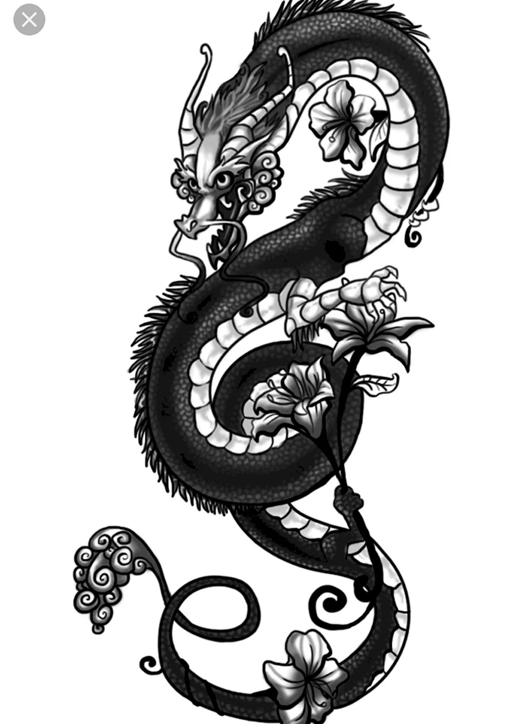 Готический дракон тату