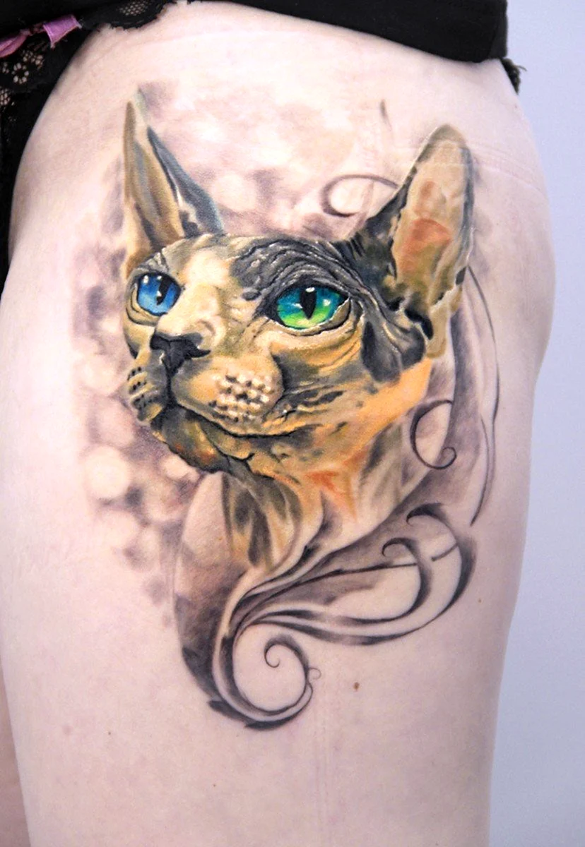 Тату кот