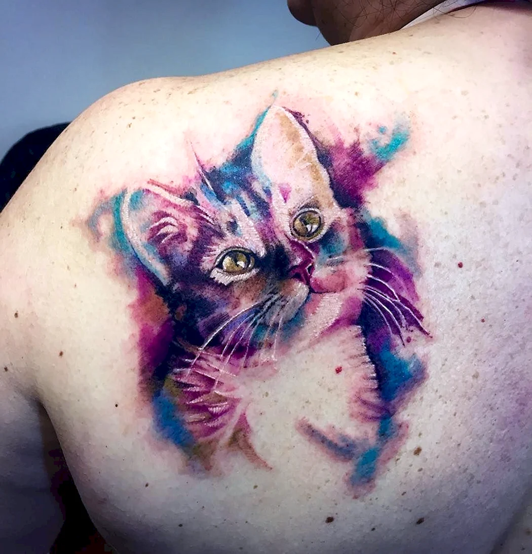 Тату кот цветной