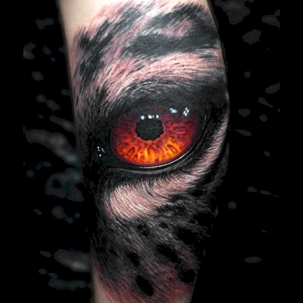 Степан негур кот