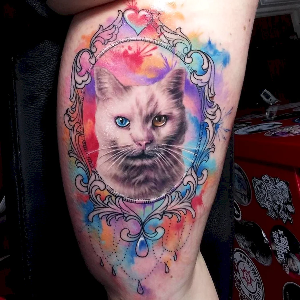 Тату кот