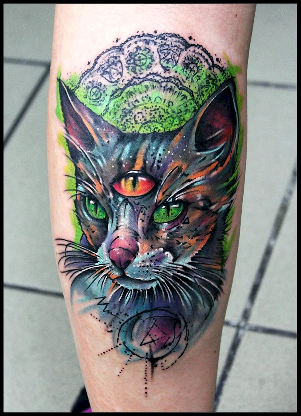 Трехглазый кот