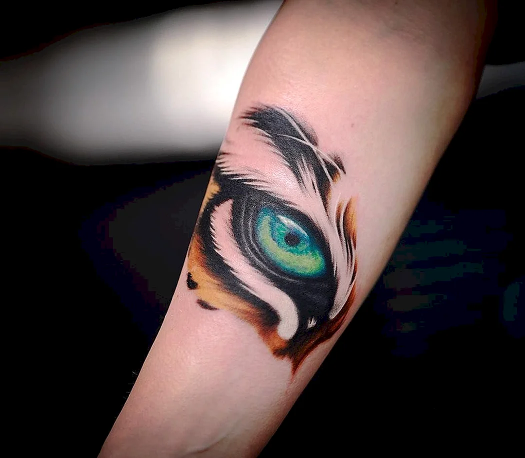 Тату глаза кошки