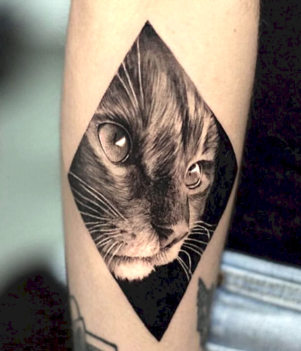 Тату кошка