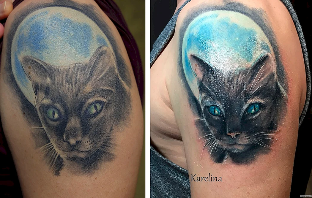 Синий кот тату
