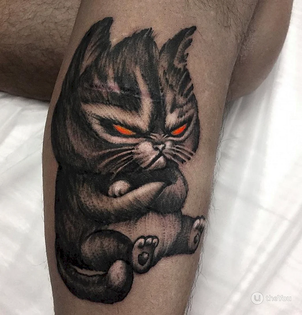 Тату кот