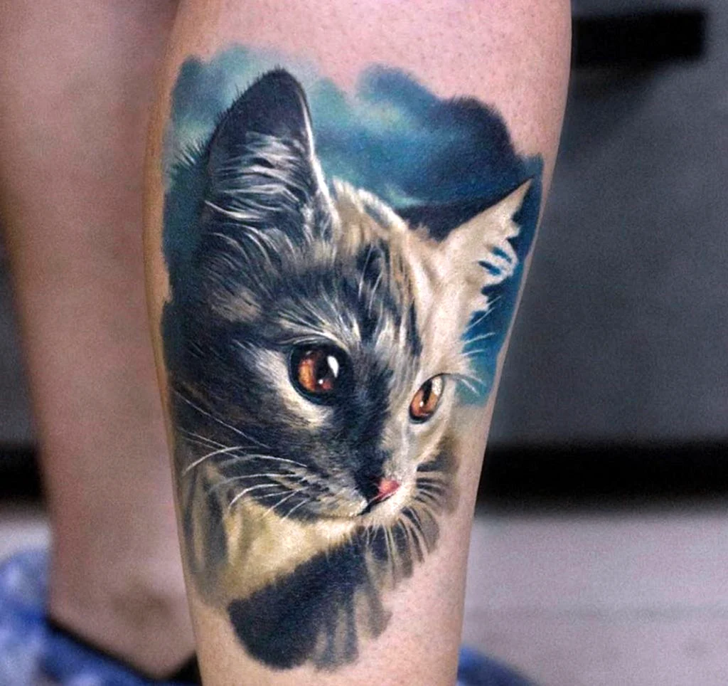 Тату кот