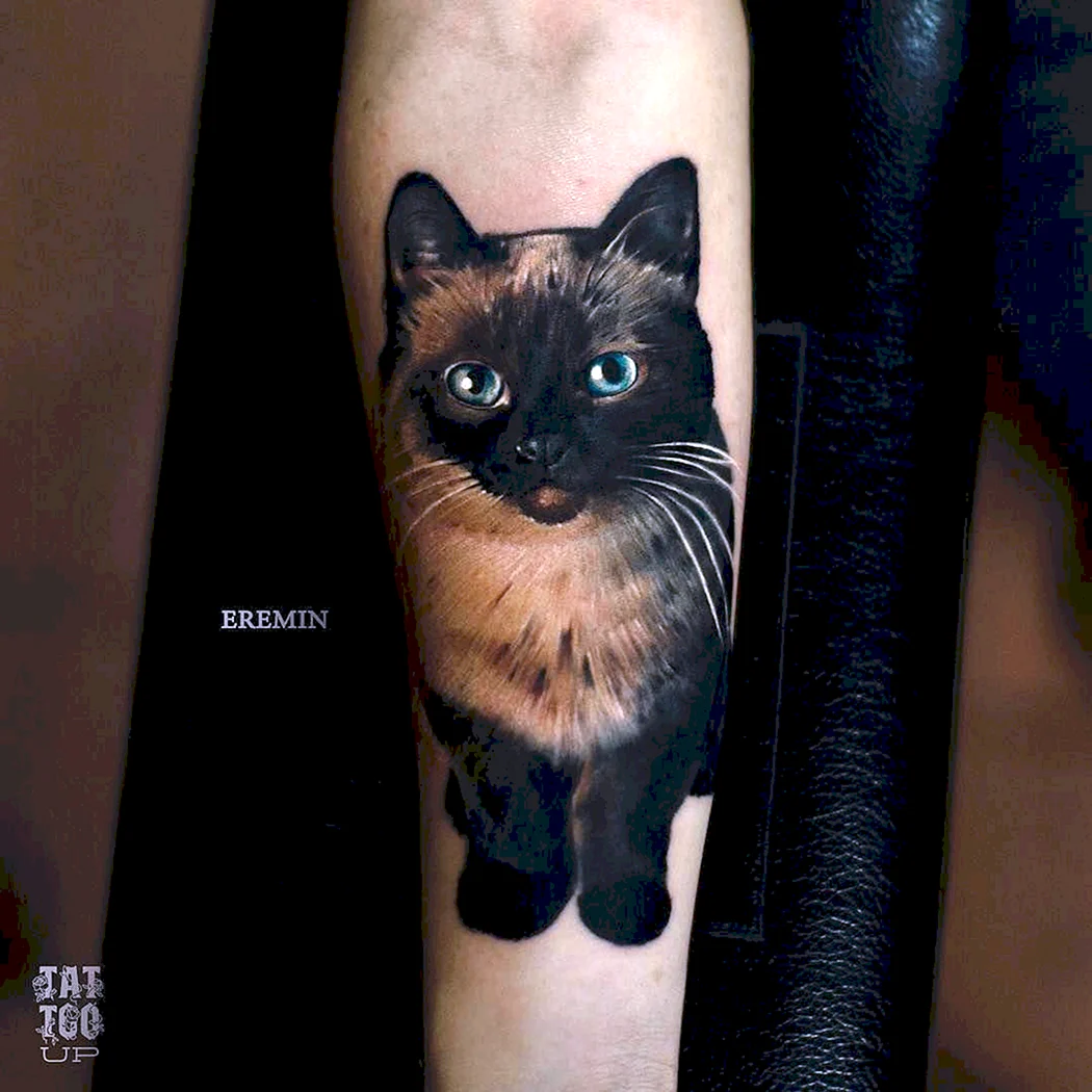 Сиамский кот эскиз тату