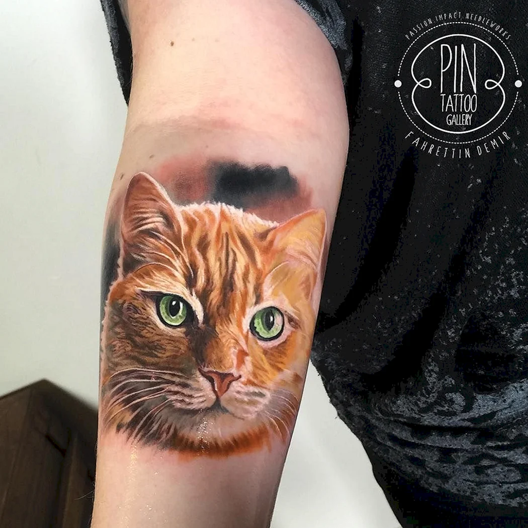 Тату кот
