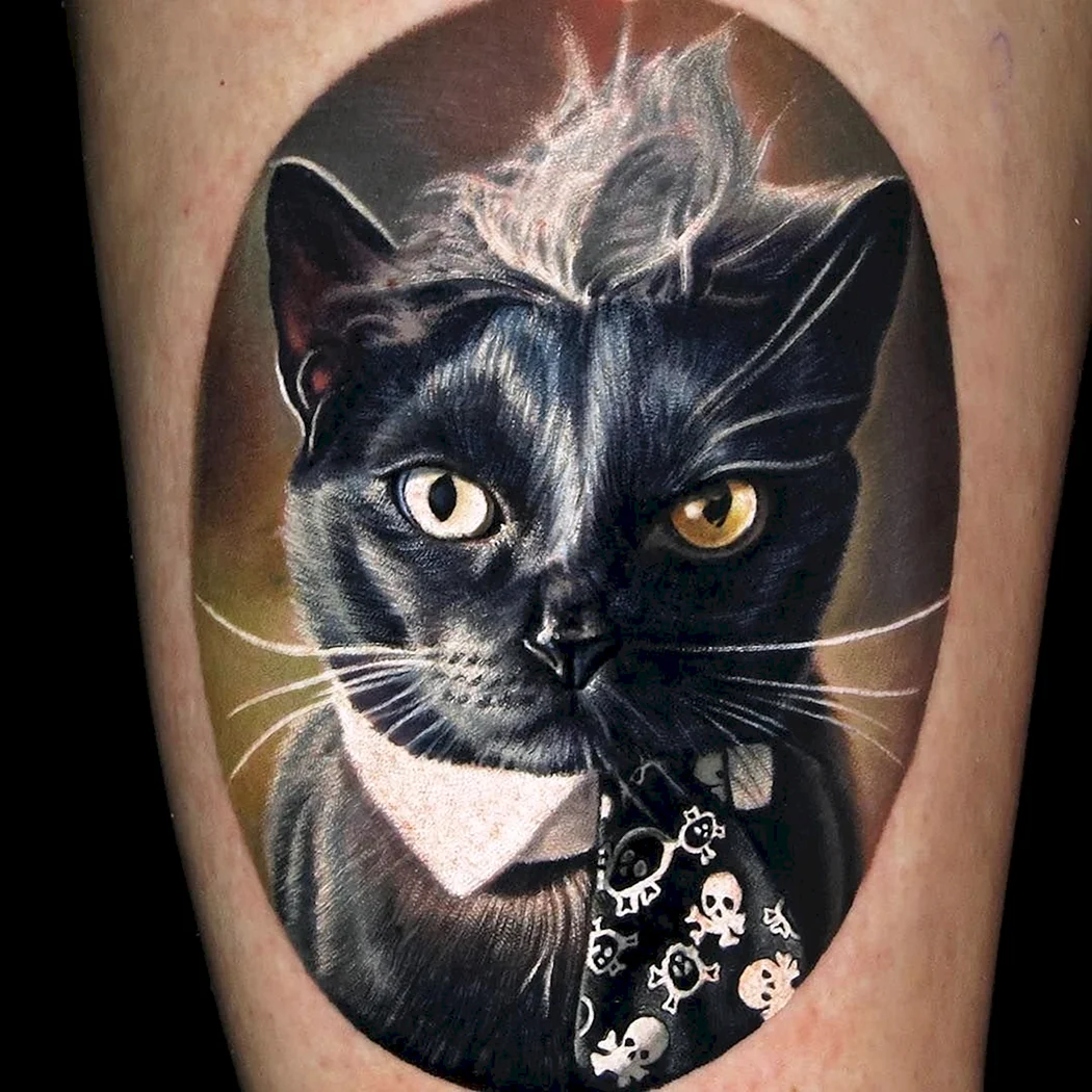 Тату кот
