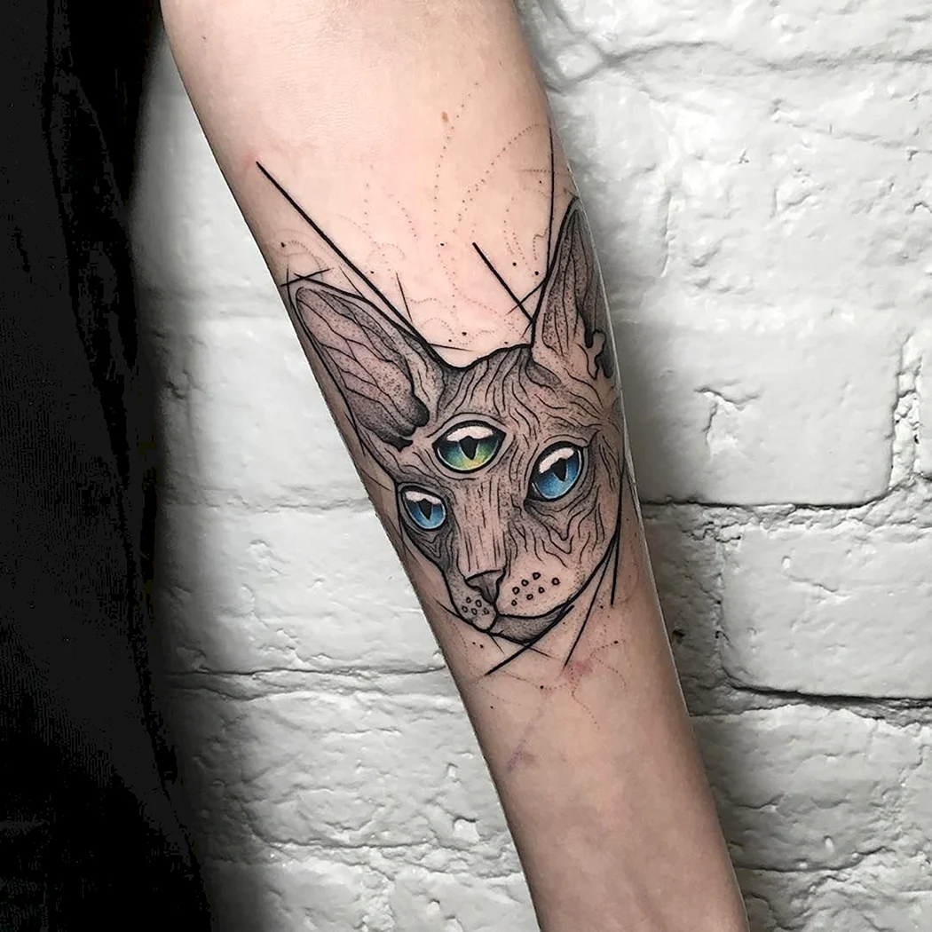 Трехглазый кот сфинкс тату