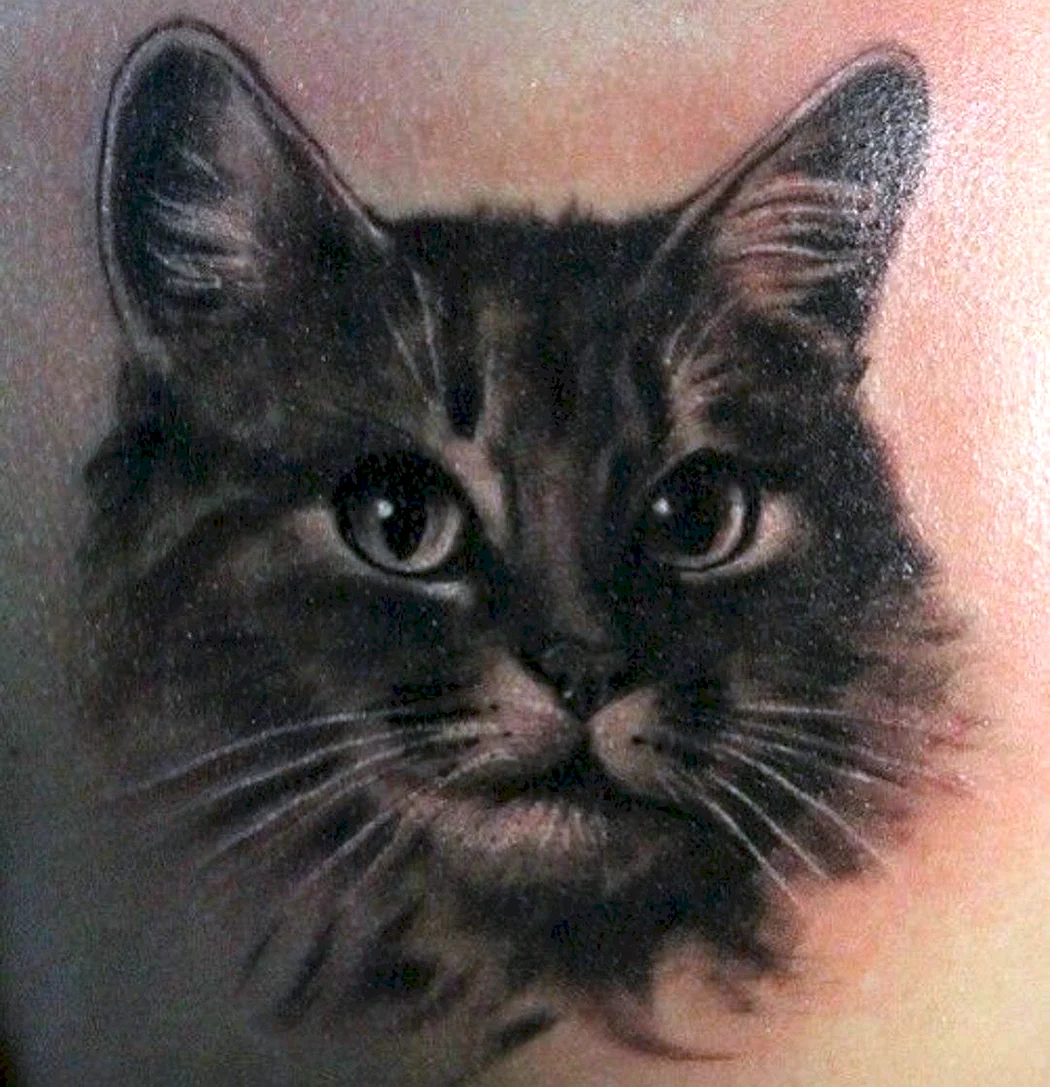 Тату портрет кота
