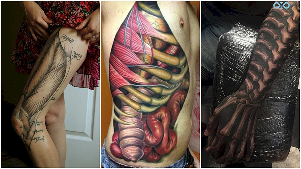Анатомические Татуировки