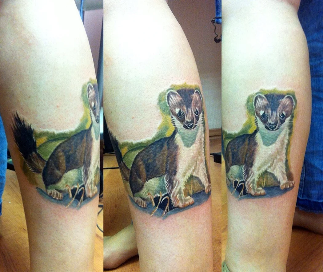 Горностай тату