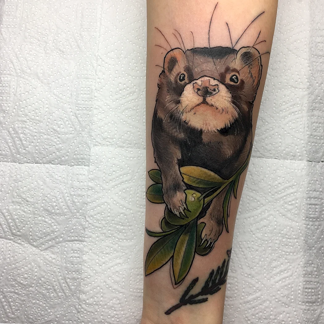 Татуировка куница