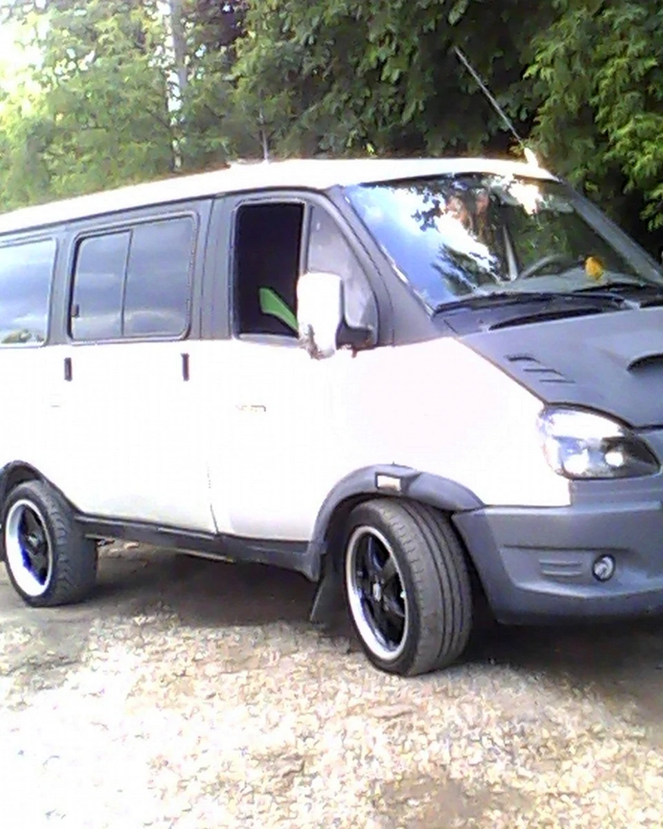 Соболь в два цвета