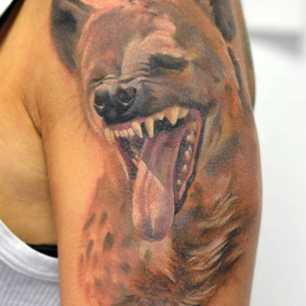 Тату гиена