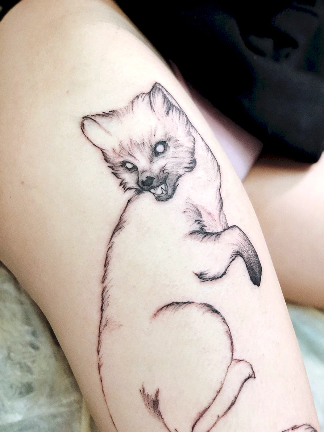 Куница тату