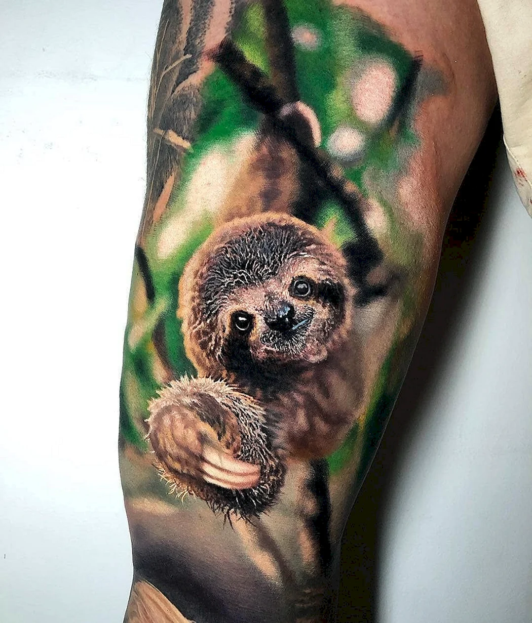 Тату Ленивец