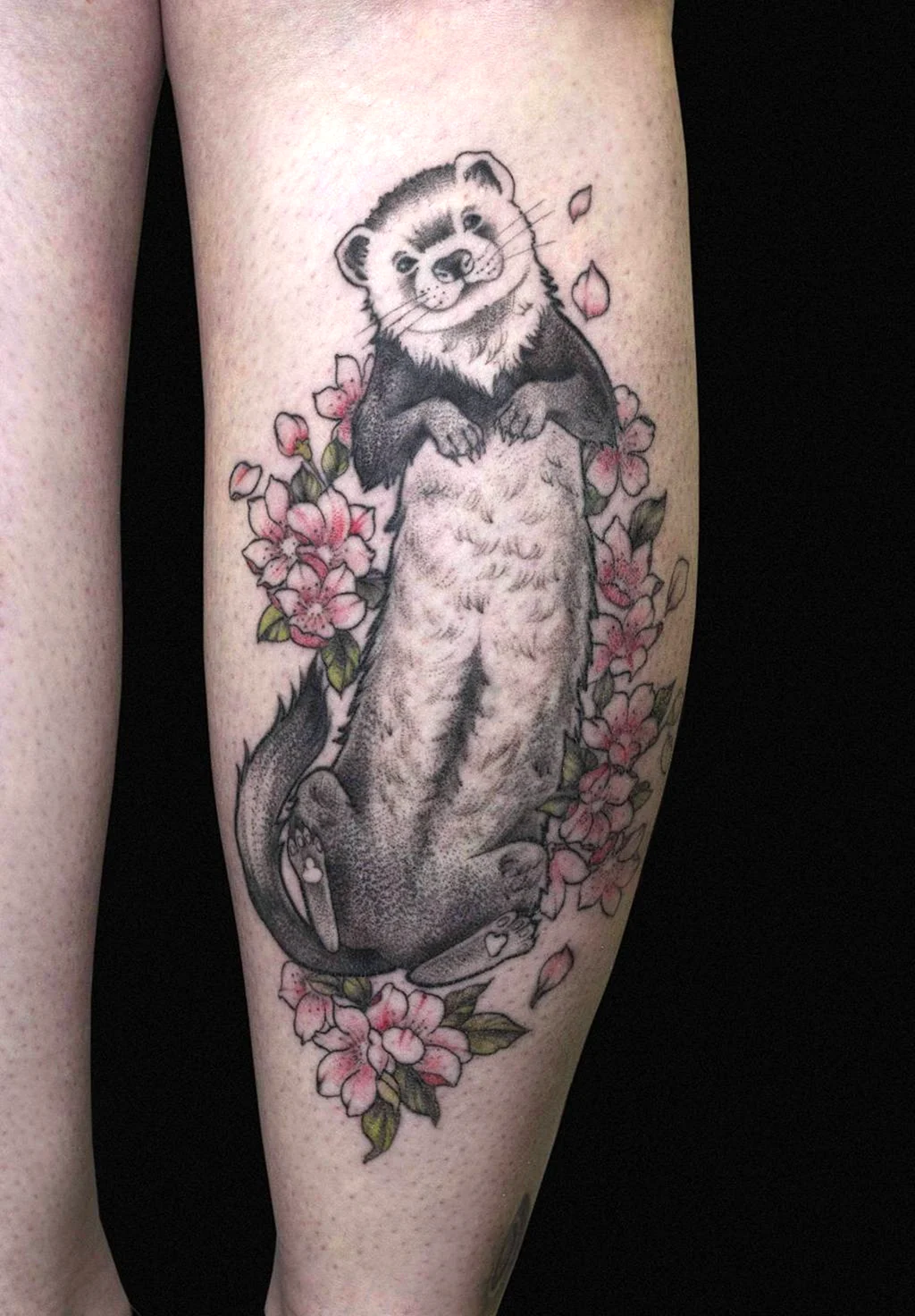 Татуировка хорек