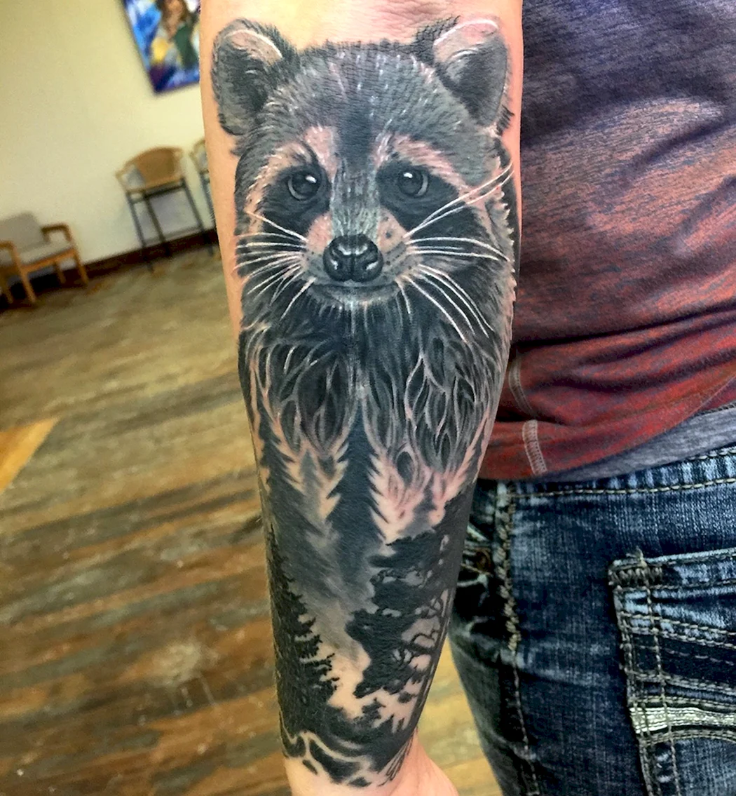 Тату енот